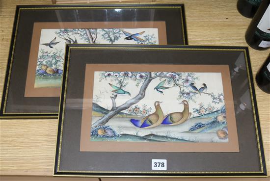 19th century Chinese School, pair of gouache on pith paper, studies of birds and flowers, 17 x 30cm